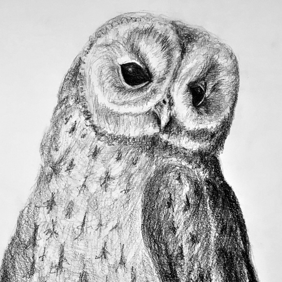 Meet your Posher, Ann - Picture 2 of 3